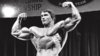 10-Best-Arms-Olympia-Arnold-Schwarzenegar.jpg