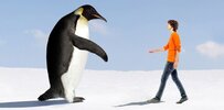 tall-penguins.jpg