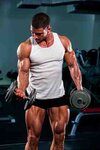 muscle-building-7.jpg