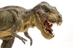 Tyrannosaurus-Rex-1024x683.jpg