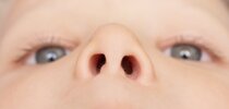 Small-child-nostrils.jpg