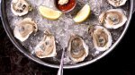 10-Underrated-Protein-Oysters.jpg