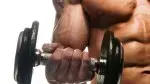 Big Biceps Workout Big Biceps Workout