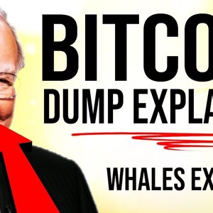 BITCOIN COLLAPSING?!  WHY ARE WE TANKING? Warren Buffet Recession