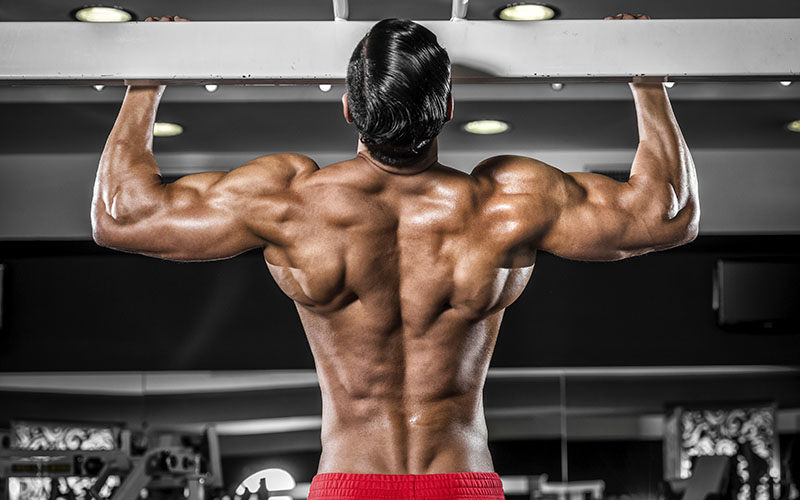 Bodyweight Exercises For Back & Shoulders Muscle Growth