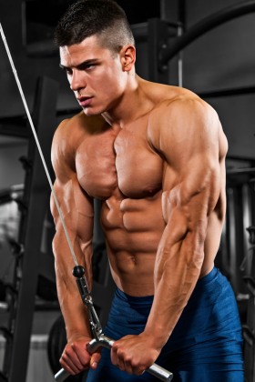 Cable Tricep Extensions